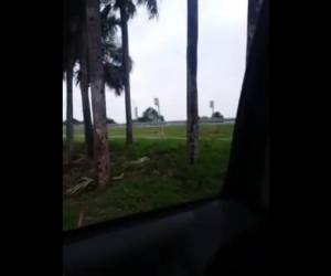 montan su polla grande negro en el asiento trasero