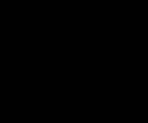 Dildo anal